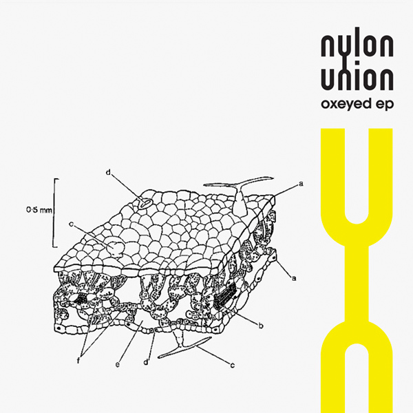 Nylon Union – Oxeyed EP